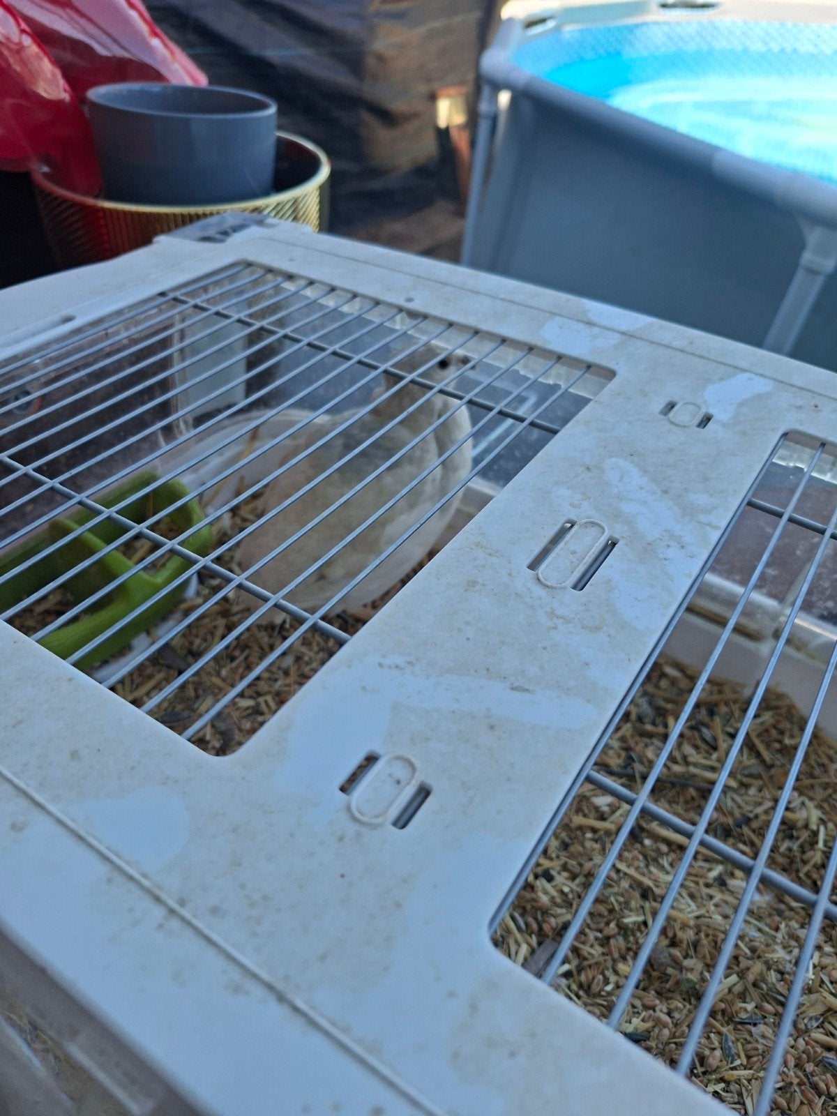 Gratis, Ophalen, Minder dan 60 cm