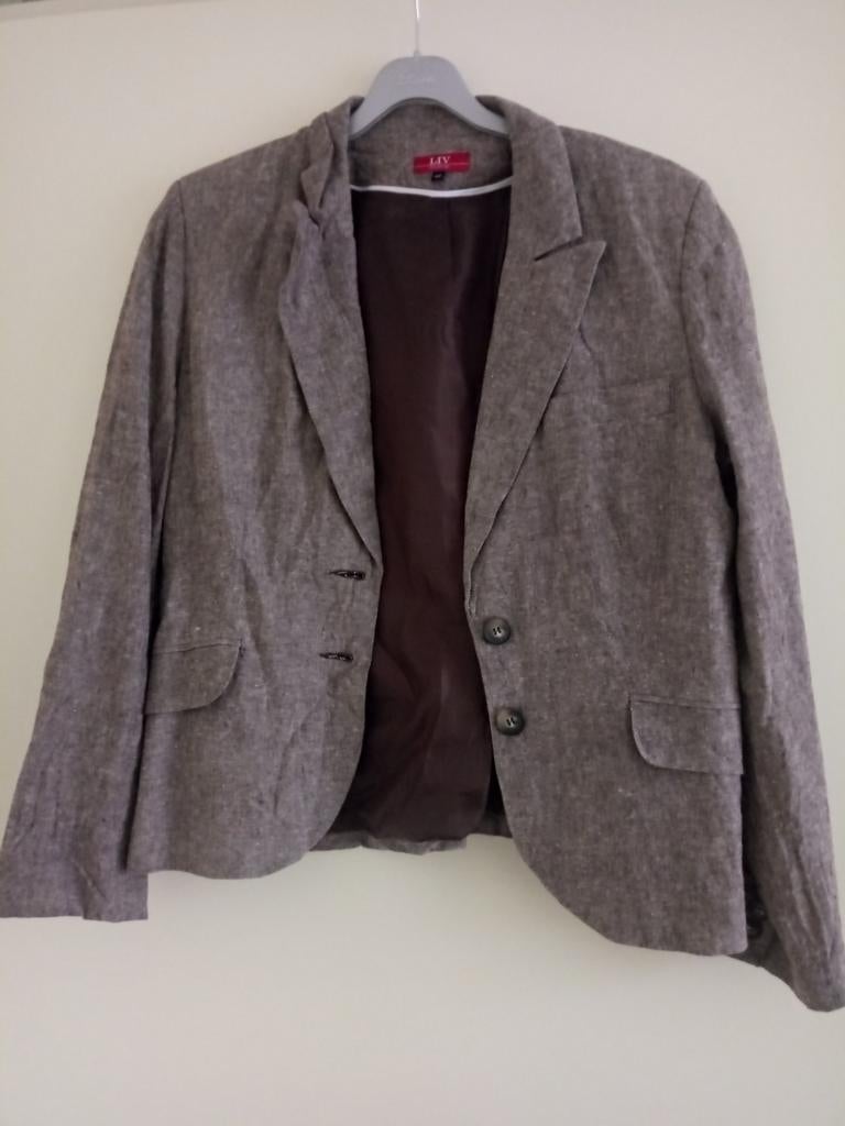Bruin jasje, Kleding | Dames, Jasjes, Kostuums en Pakken, Bruin, Maat 42/44 (L), Ophalen of Verzenden, Zo goed als nieuw