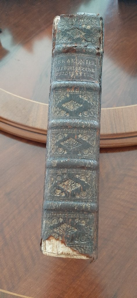 Predikatiën, Abraham Josua Brakonier, Ophalen of Verzenden, Gelezen, Christendom | Protestants