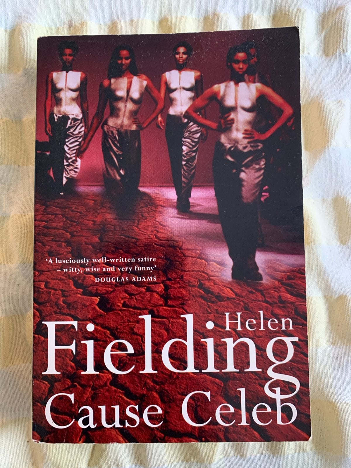 Helen Fielding - Cause Celeb (Engels), Ophalen of Verzenden, Gelezen, Europa overig