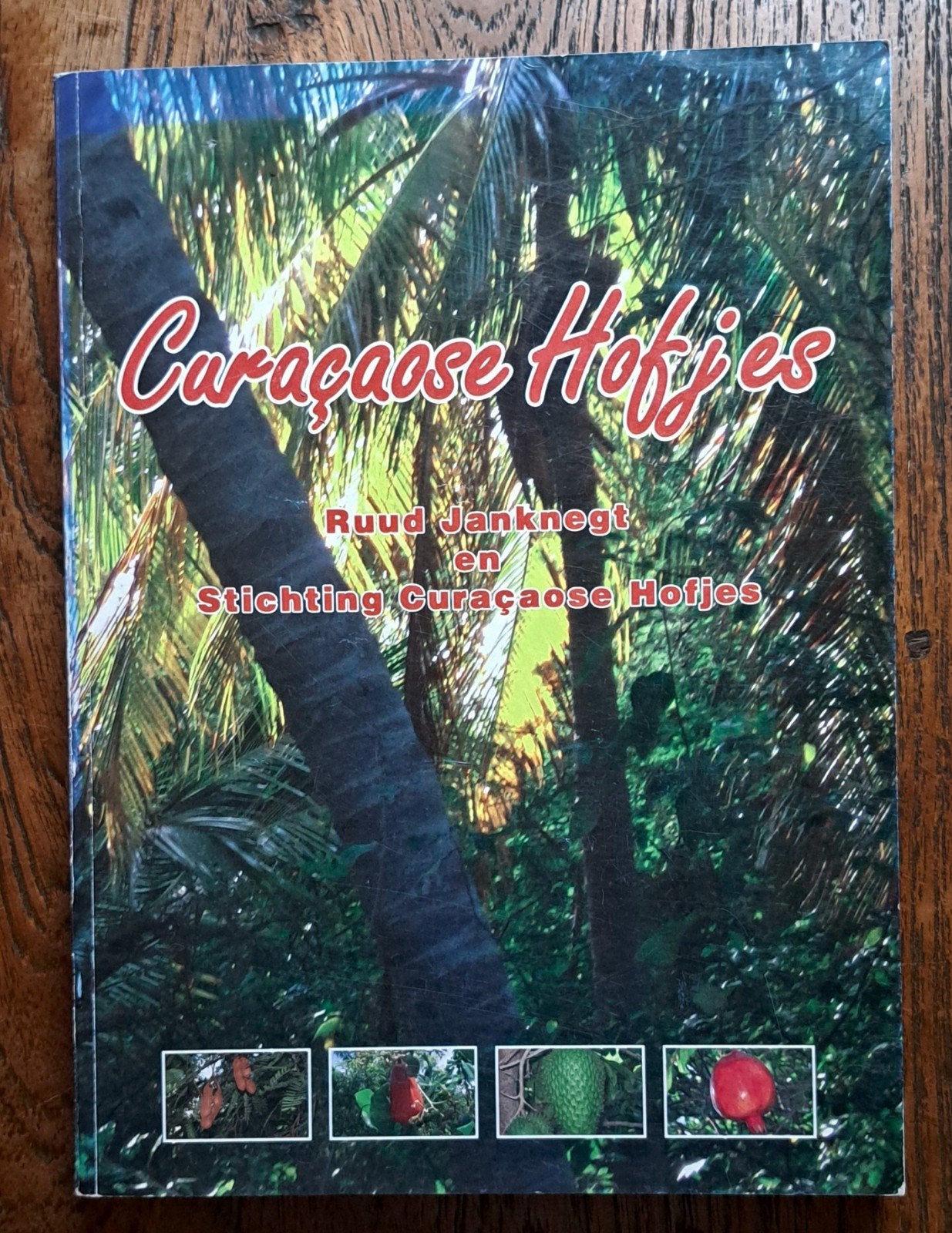 Curaçaose Hofjes - Ruud Jan Knecht & Stichting C. Hofjes, Ophalen of Verzenden, Zo goed als nieuw, Ruud Jan Knecht & Stichting C. Hofjes