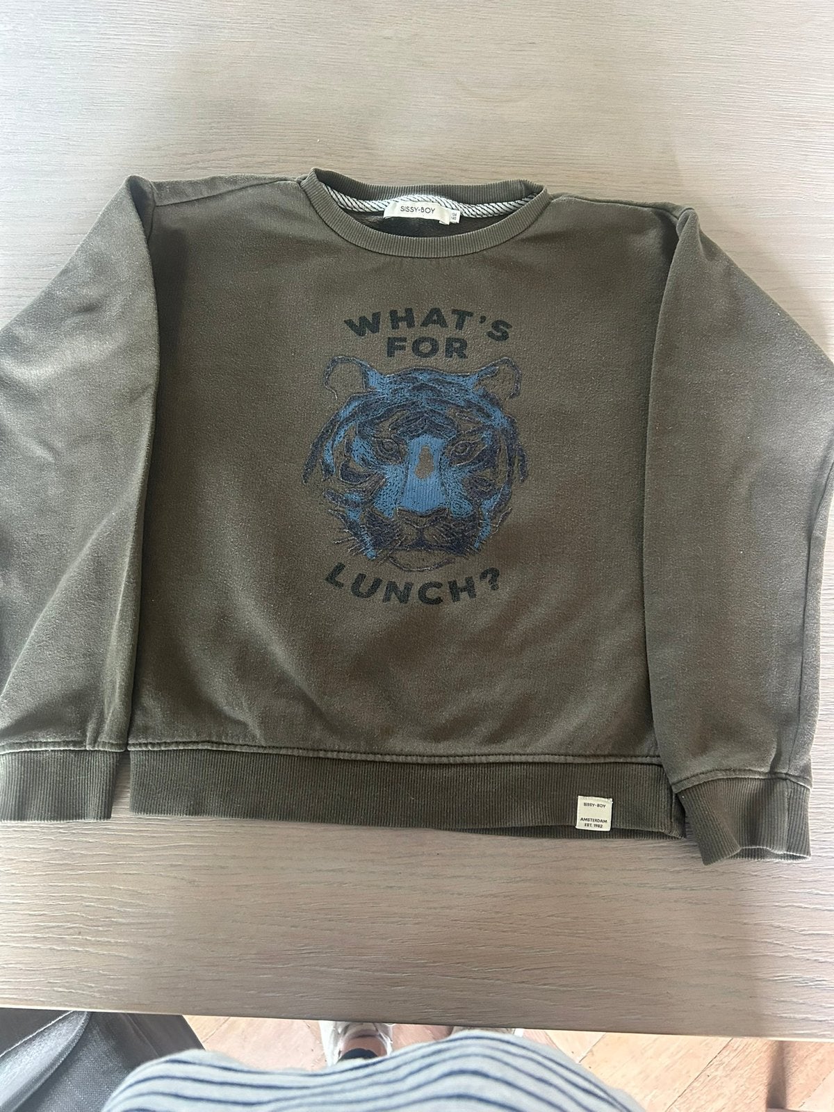 Trui maat 134 sissy boy, Kinderen en Baby's, Kinderkleding | Maat 134, Ophalen of Verzenden, Zo goed als nieuw, Jongen, Trui of Vest