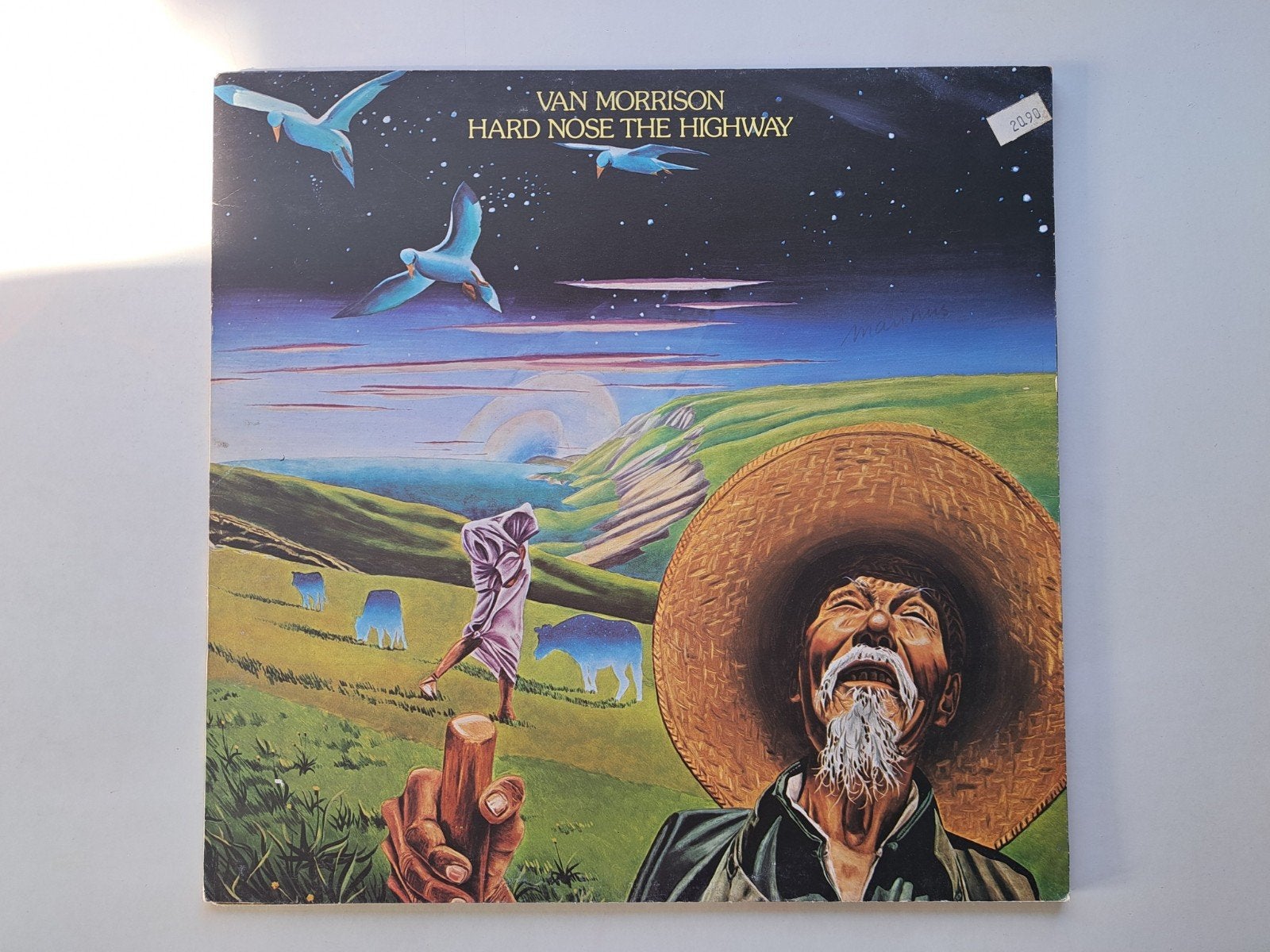 Lp vinyl   Van Morrison - Hard Nose The Highway, Ophalen of Verzenden