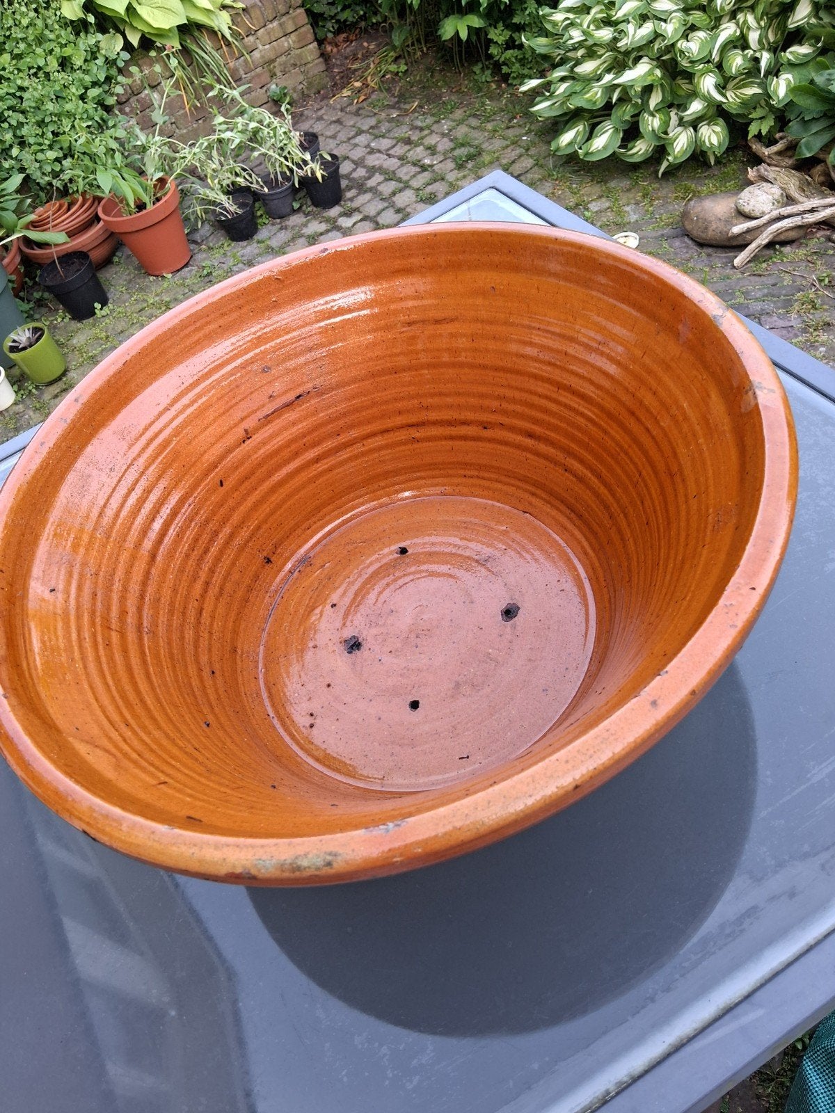 Grote schaal bloem bak een echte blikvanger, Tuin en Terras, Bloembakken en Plantenbakken, Ophalen of Verzenden, Rond, Kunststof