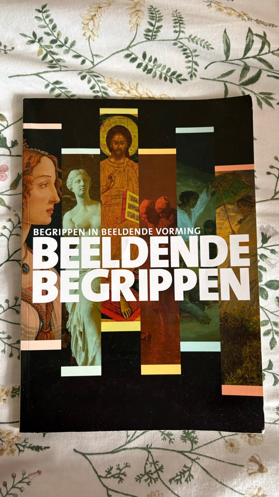 Beeldende Begrippen - Begrippen in Beeldende Vorming, Boeken, Ophalen of Verzenden, Zo goed als nieuw, Overige onderwerpen