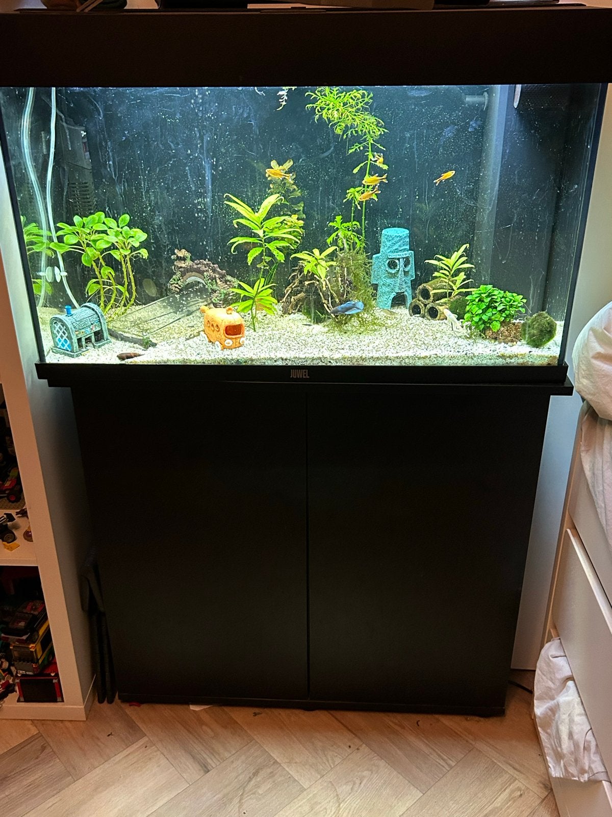 Aquarium, Ophalen, Gebruikt