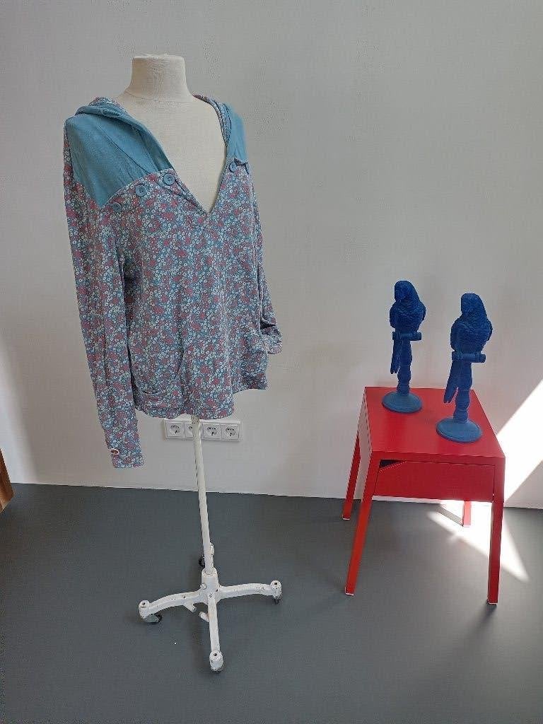 Super leuk hoodie van blutgeschwister zgan, xl, Kleding | Dames, Ophalen, Blauw, Maat 46/48 (XL) of groter, Zo goed als nieuw