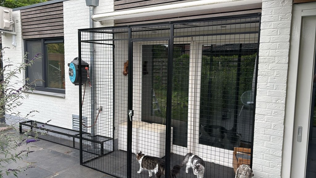 Kattenren Winschoten | Maatwerk | Duurzame materialen, Ophalen of Verzenden, Nieuw