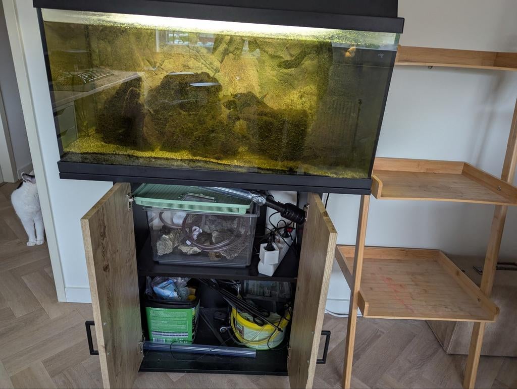Zoetwater aquarium 110L (opknapper) en/of gratis vissen, Ophalen, Inclusief toebehoren, Gevuld zoetwateraquarium, Juwel