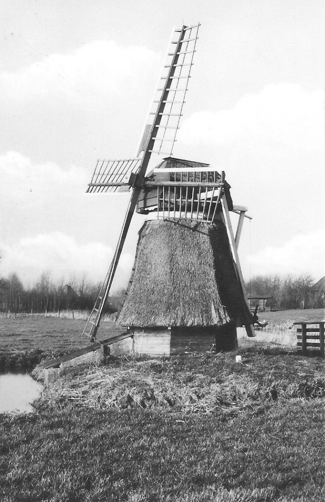Ansichtkaart Stiens, Molen aan Stienservaart, 1974, Ophalen of Verzenden, 1960 tot 1980, Ongelopen, Friesland