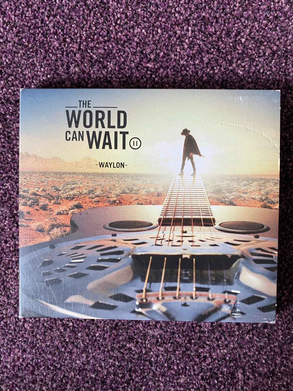 Waylon - The World Can Wait (CD), Ophalen of Verzenden, Gebruikt