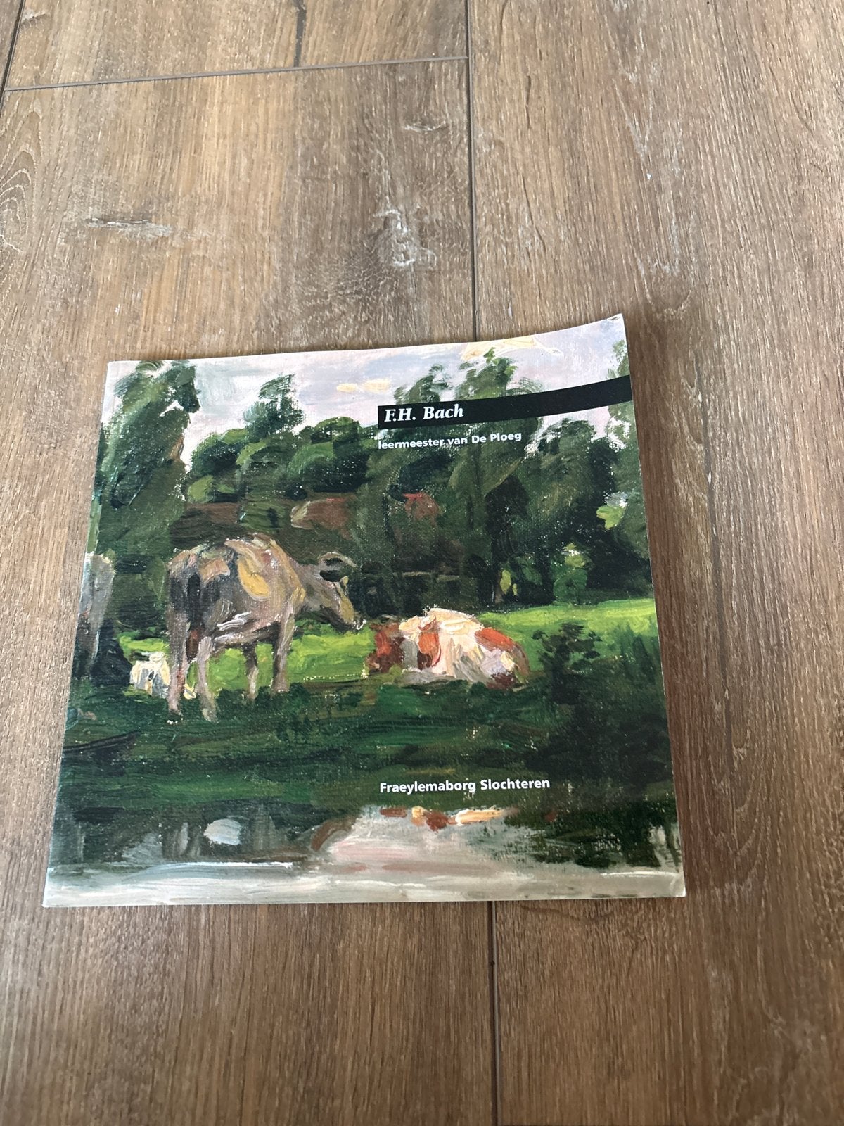 F.H. Bach: Meester van De Ploeg - Kunstboek, Ophalen of Verzenden, Zo goed als nieuw, Schilder- en Tekenkunst