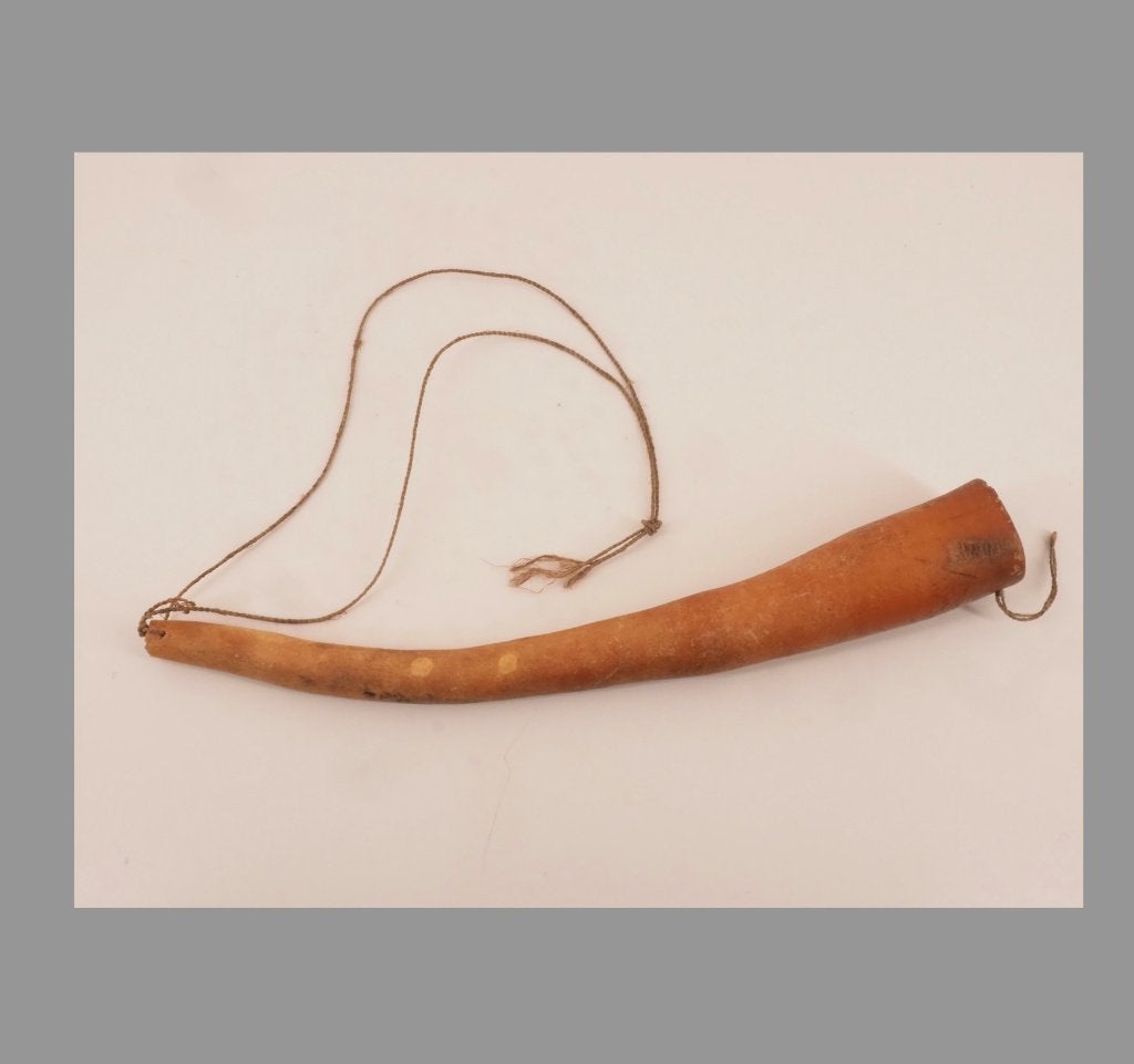 Kleinere Koteka (Peniskoker) Papua Nieuw Guinea (251212-08), 24 cm, Natuurlijk materiaal, Overige typen, Papoea-Nieuw-Guinea