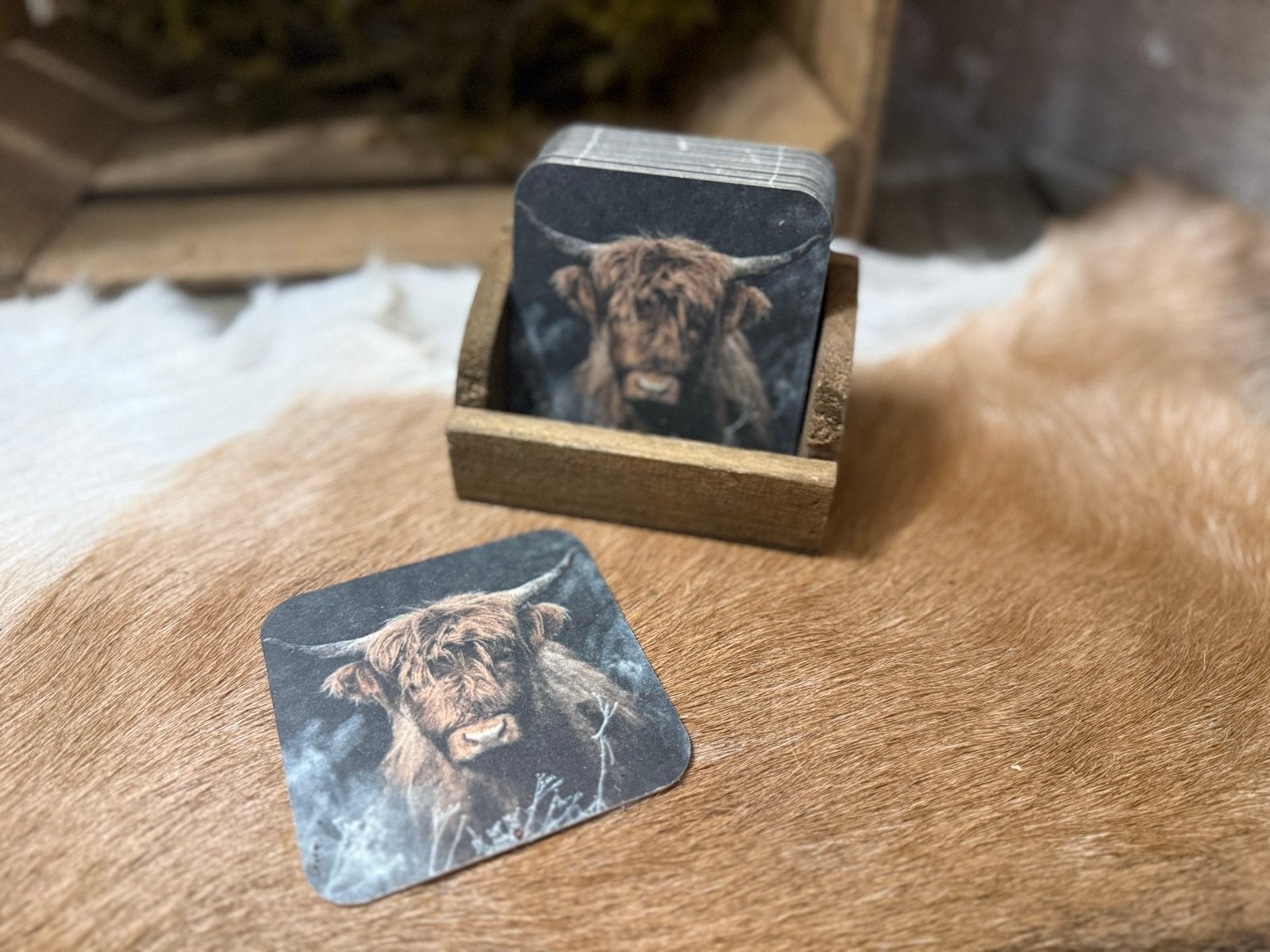 Onderzetters met Schotse Hooglander in houten bakje, Hout, -, -, Glasonderzetter