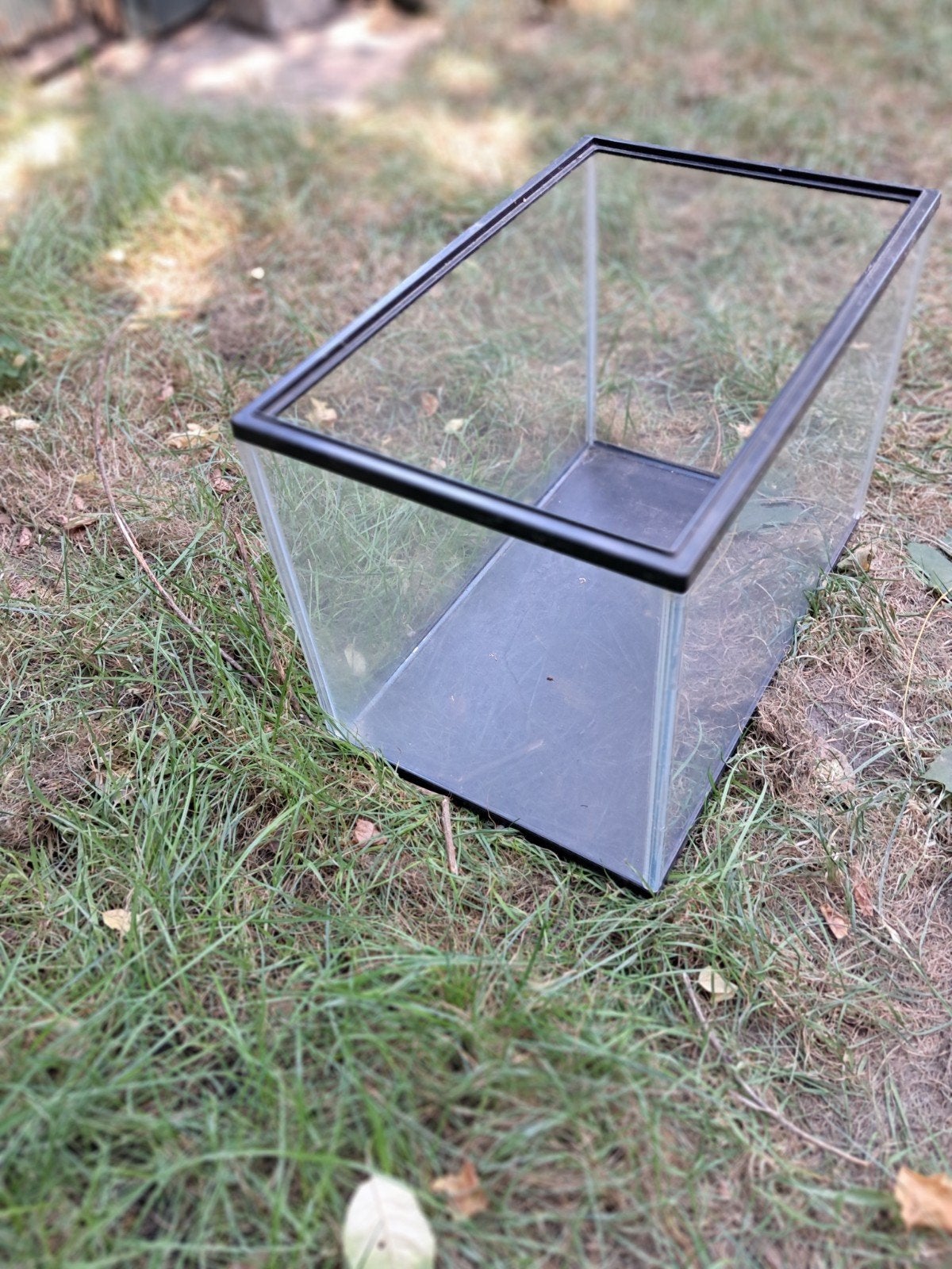 glazen bak, Gebruikt, Minder dan 75 cm, Muis, Hok