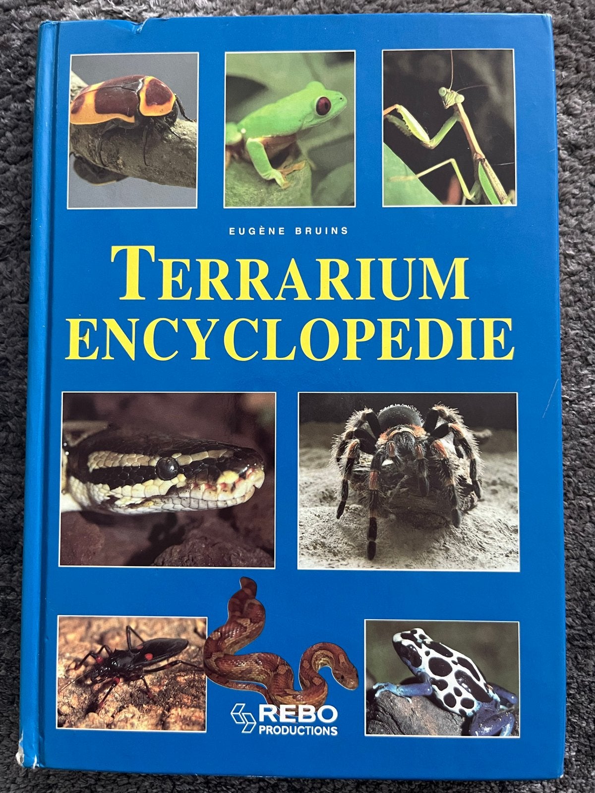 Terrarium Encyclopedie - Eugène Bruins, Boeken, Ophalen of Verzenden, Zo goed als nieuw, Overige onderwerpen