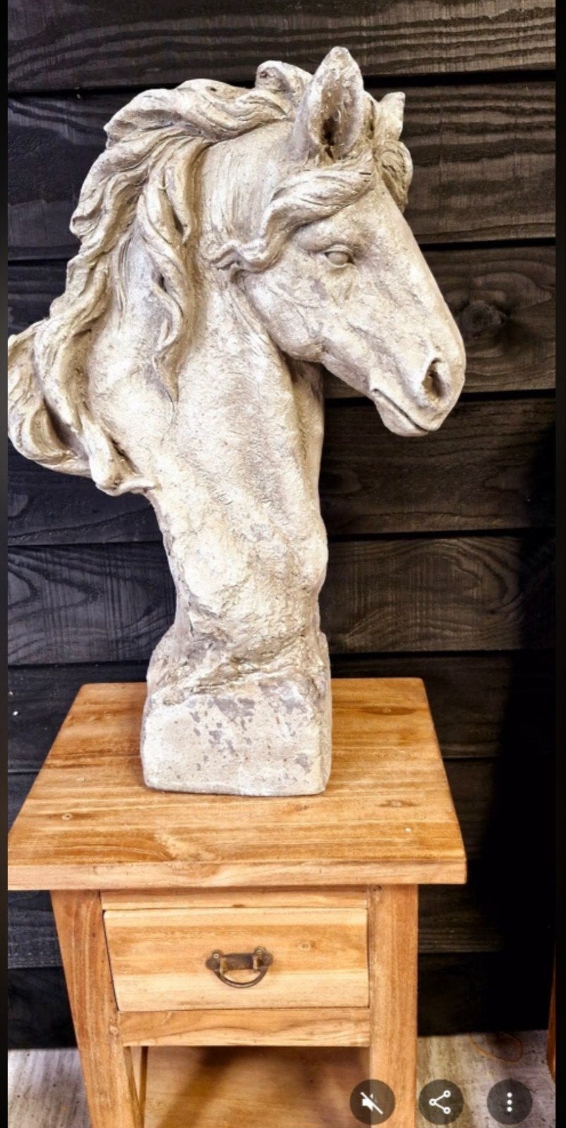 Decoratief Paardenhoofd Beeld, Ophalen