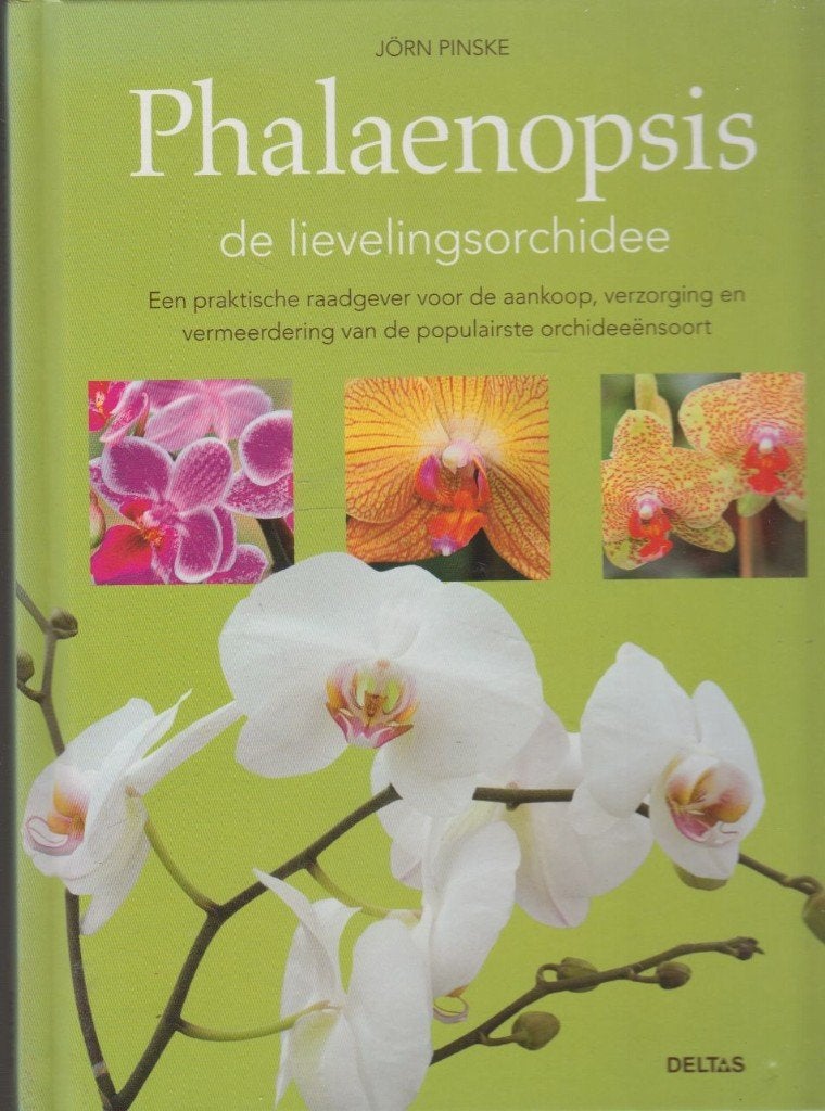 Phalaenopsis : de lievelingsorchidee (Schaars!), Bloemen, Planten en Bomen, Jörn Pinske, Ophalen of Verzenden, Zo goed als nieuw