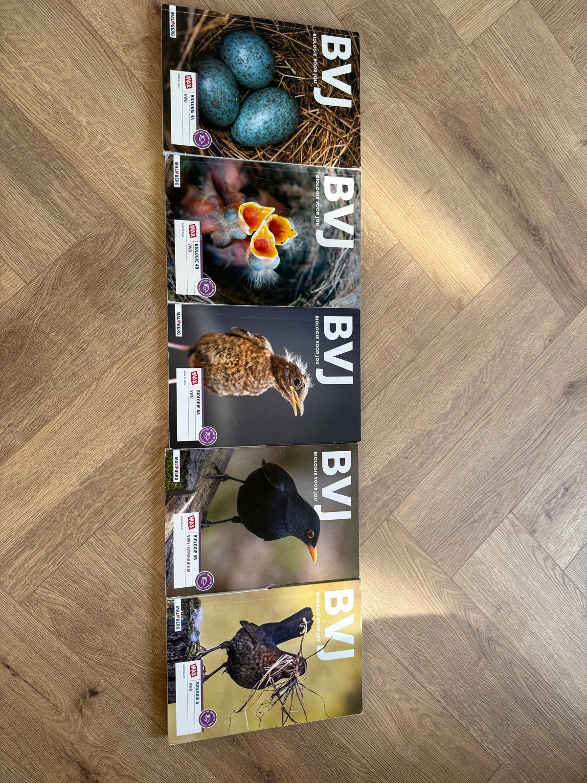 Biologie voor jou VWO 4-6 (niet ingeschreven), Ophalen of Verzenden, Zo goed als nieuw, VWO, Biologie
