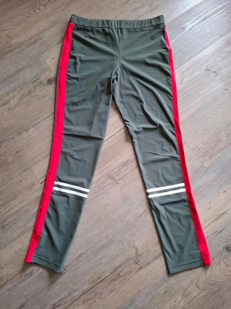 ZGAN!!!  sportbroek van JANE LUSHKA maat L, Maat 38/40 (M), JANE LUSHKA, Ophalen of Verzenden, Zo goed als nieuw