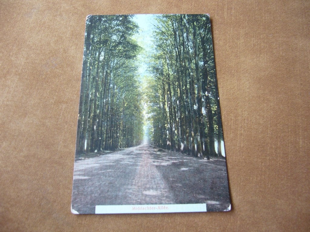 DE STEEG - ELLECOM =  MIDDACHTER ALLEE BRIEFKAART, Verzamelen, Ansichtkaarten | Nederland, Ophalen of Verzenden, Voor 1920, Gelopen