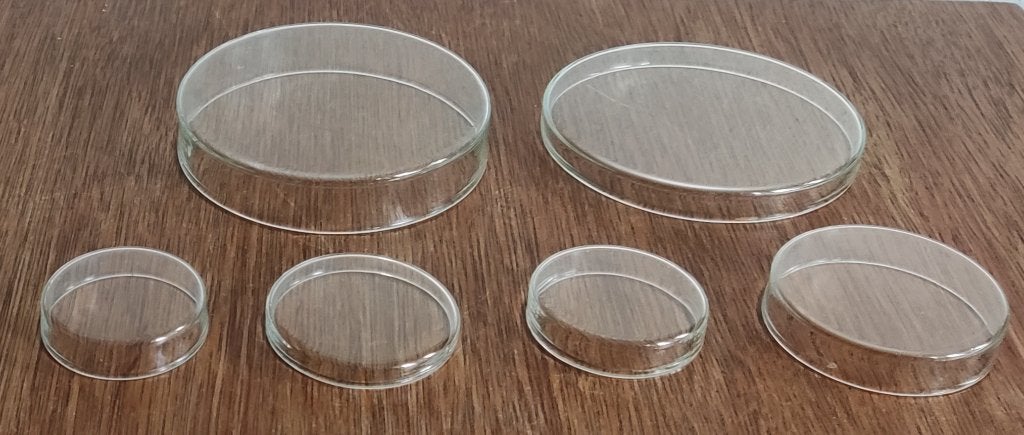 6 petrischaaltjes, Ophalen of Verzenden