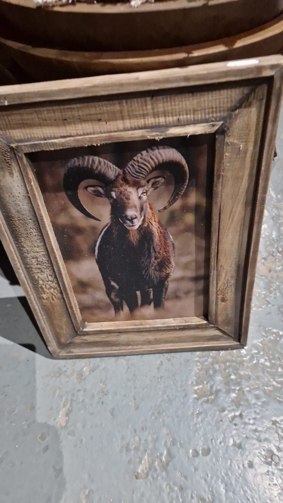 Prachtige houten lijsten €18,99 p.s.
+/- 30x38cm, Ophalen of Verzenden