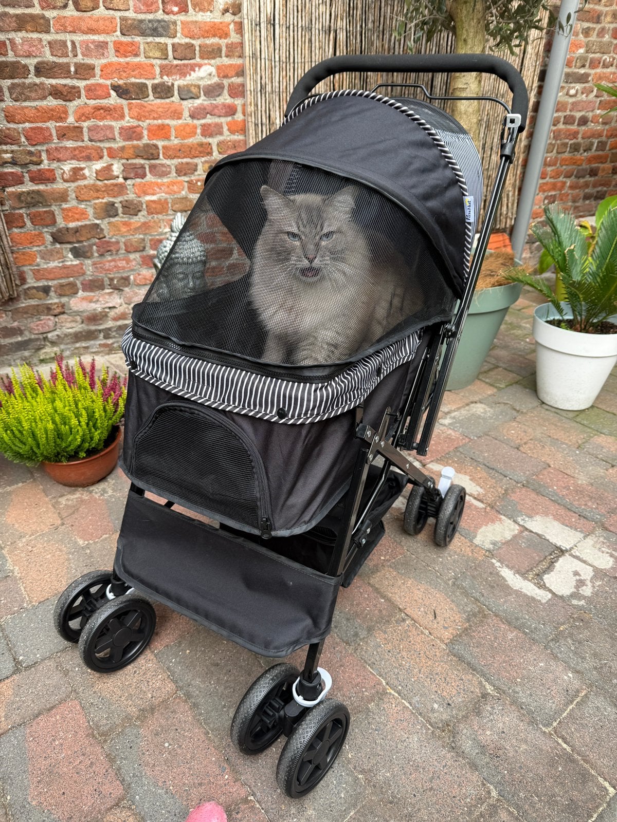 Pawhut dierenbuggy kat of hond, Ophalen, Hondenbuggy
