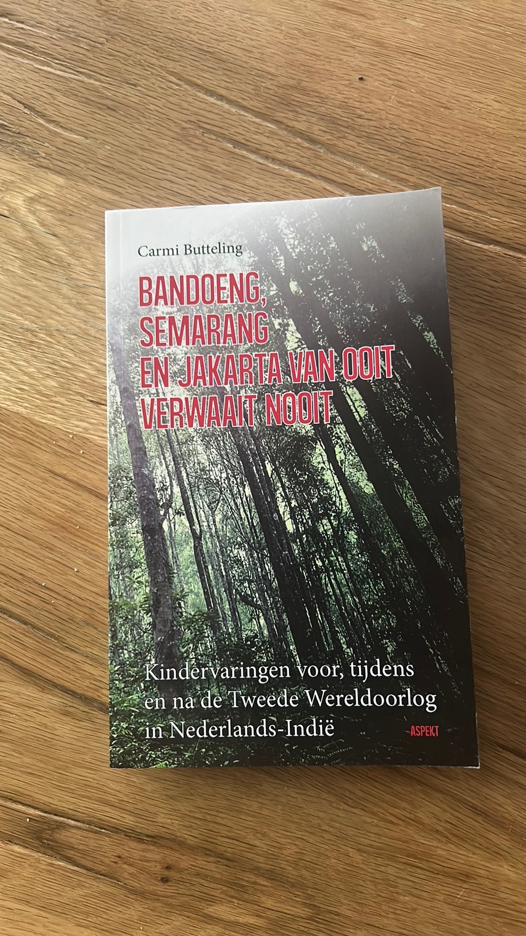Bandoeng, Semarang en Jakarta van ooit verwaait nooit, Carmi Butteling, Ophalen of Verzenden, Zo goed als nieuw