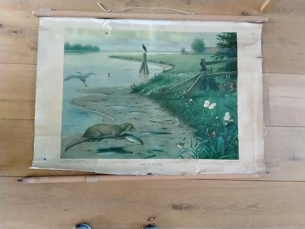 Schoolplaat M.A. Koekkoek. Aan de rivier., Antiek en Kunst, Antiek | Schoolplaten, Ophalen of Verzenden, Natuur en Biologie