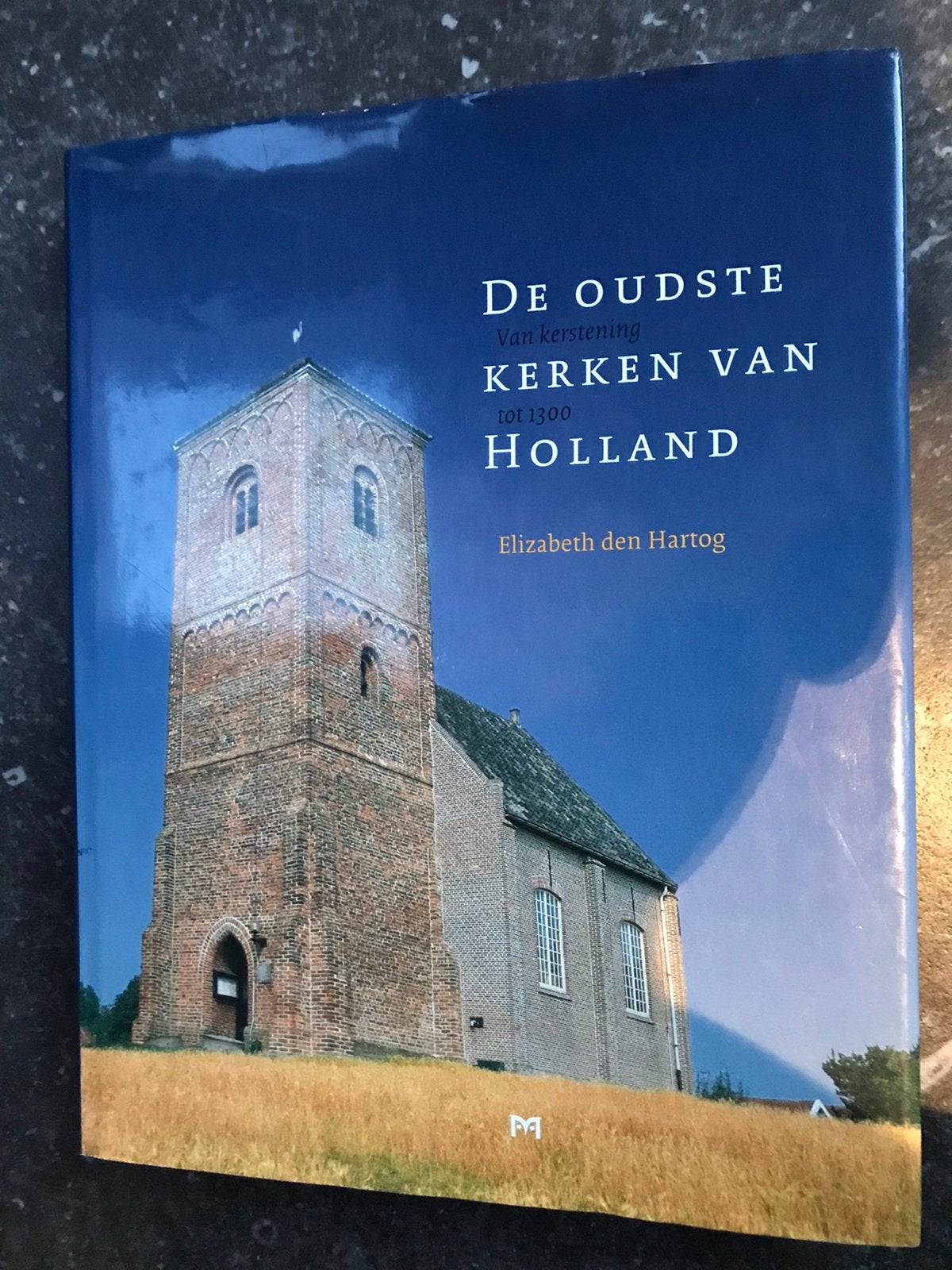De Oudste Kerken van Holland, Ophalen of Verzenden, Gelezen, Architectuur algemeen