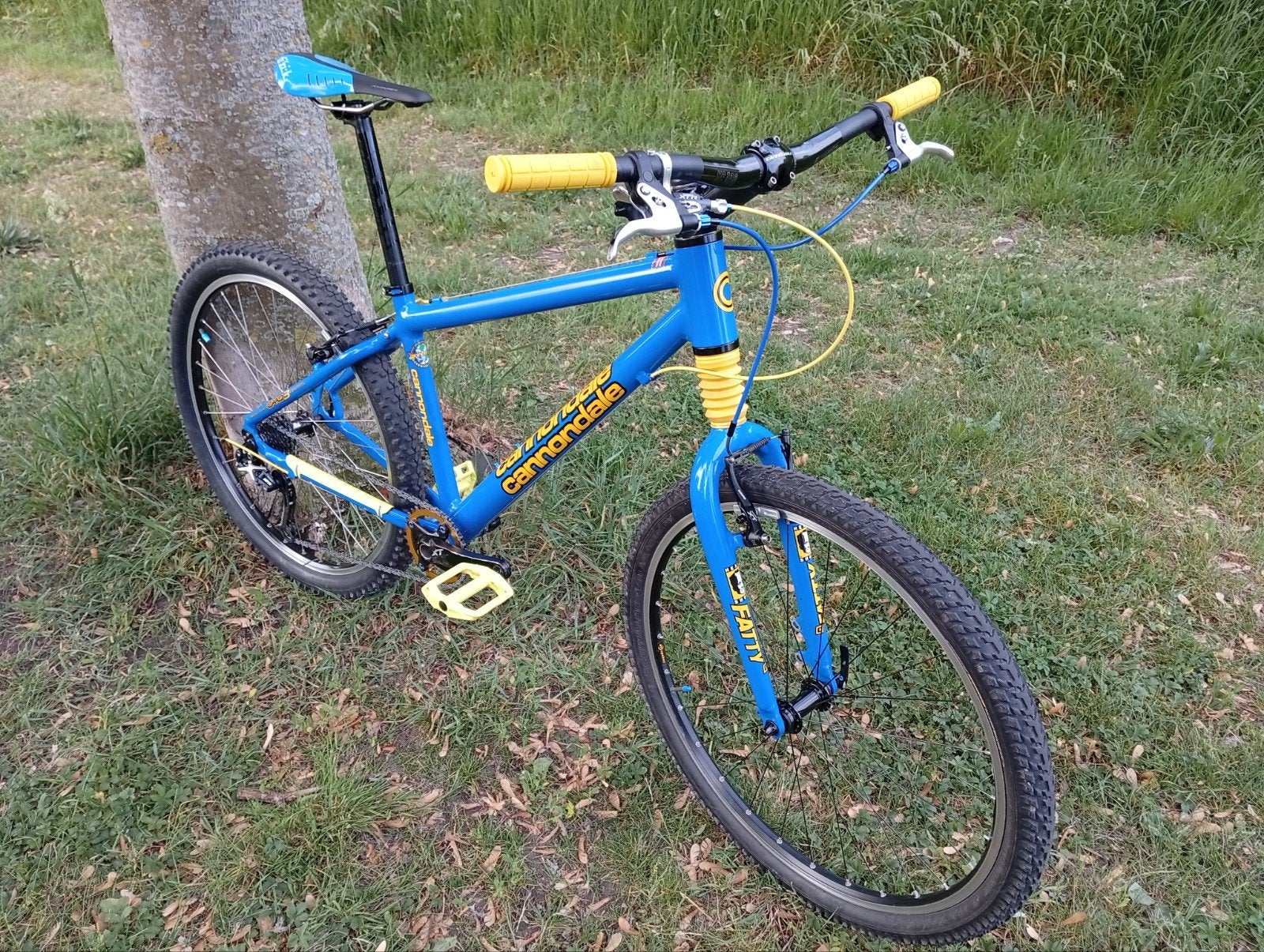 Cannondale f700 CAAD XTR 26", Fietsen en Brommers, Fietsen | Mountainbikes en ATB, Ophalen, Gebruikt, Overige merken