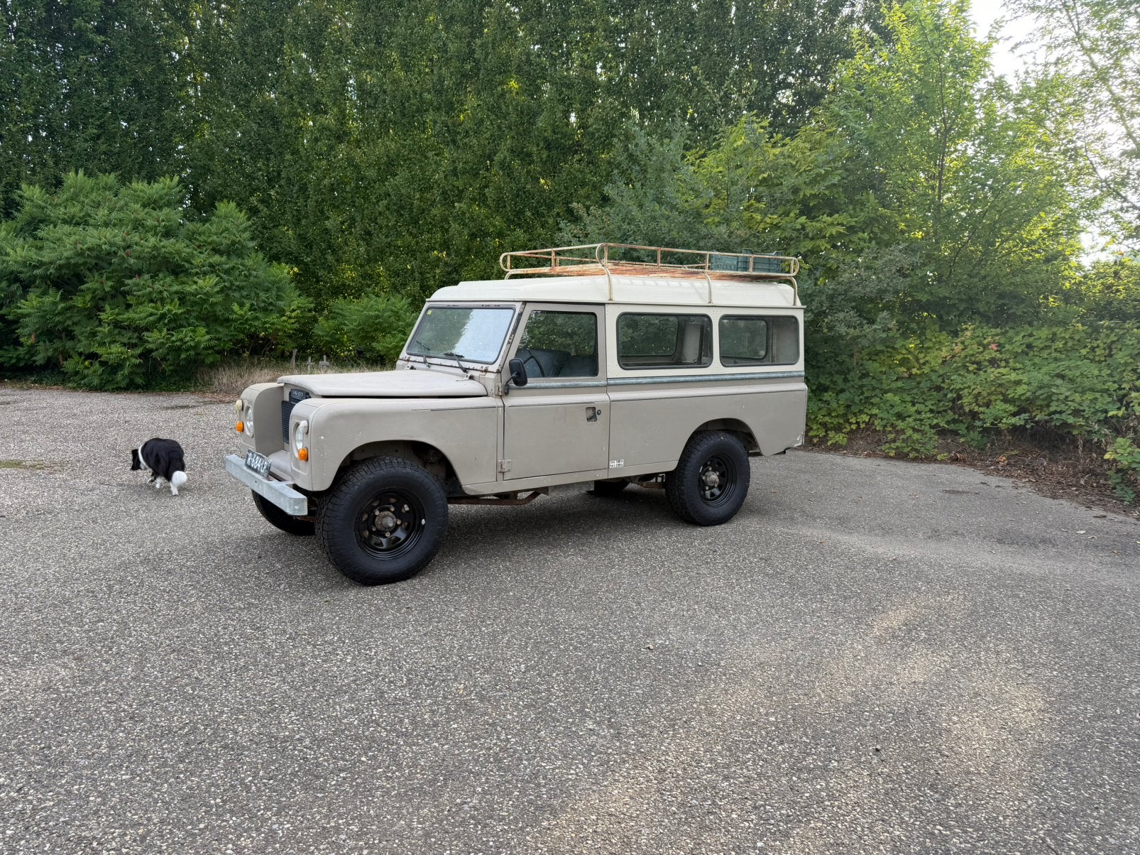 Land Rover 1986 Grijs, 2286 cc, Zwart, 4 cilinders, 61 pk