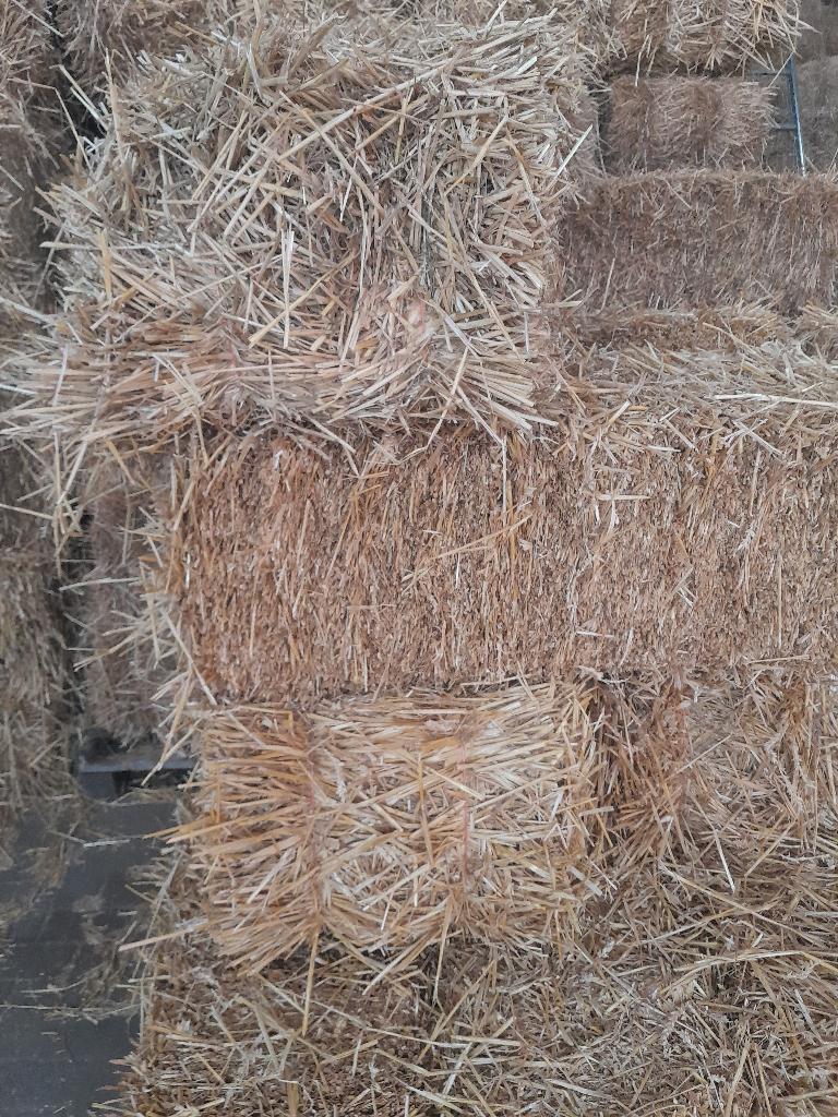 Tarwestro kleine pakken, Dieren en Toebehoren, Ophalen, Vee