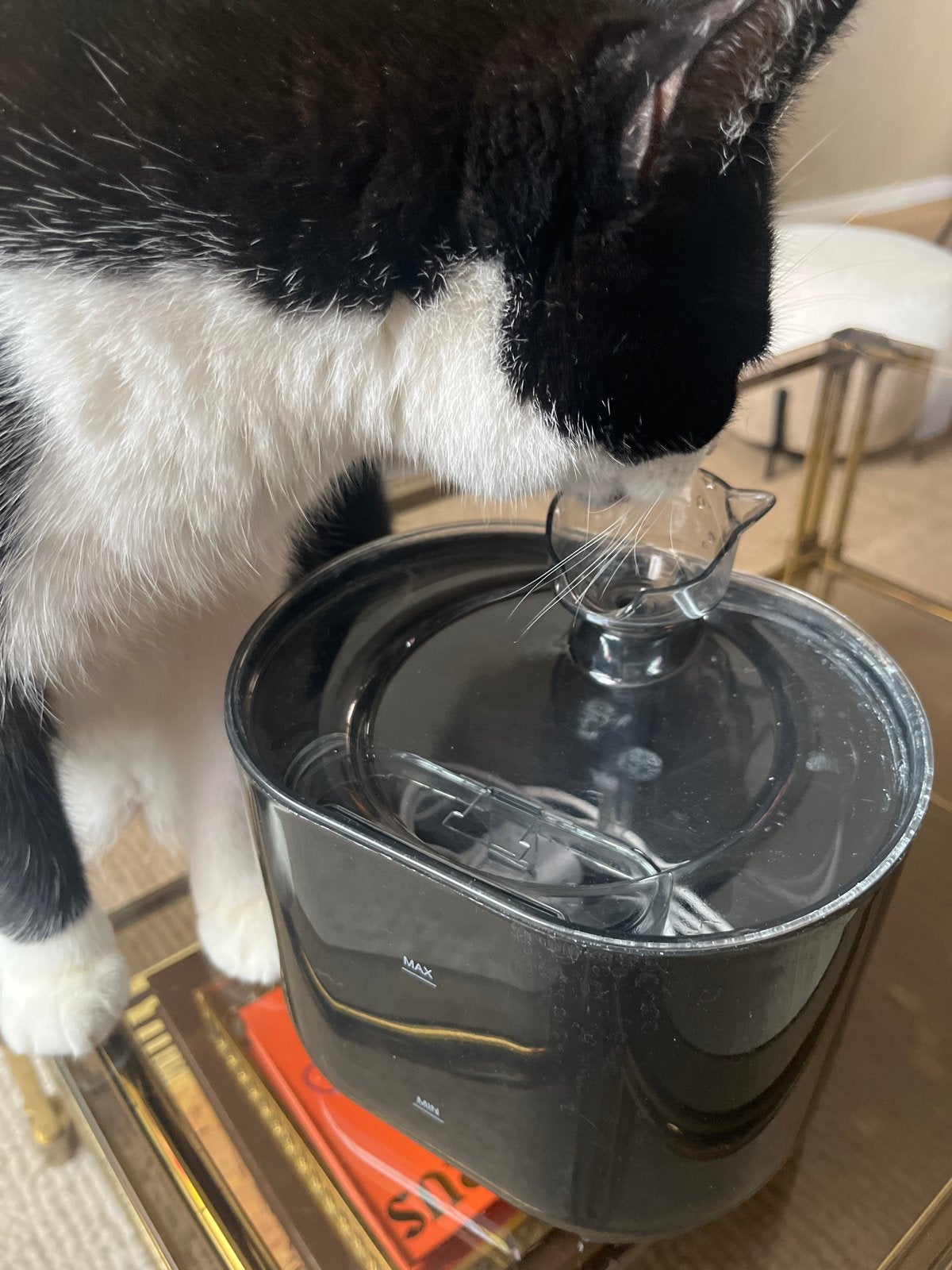 Katten fontein €2,50 exclusief kat 😃, Ophalen of Verzenden, Gebruikt