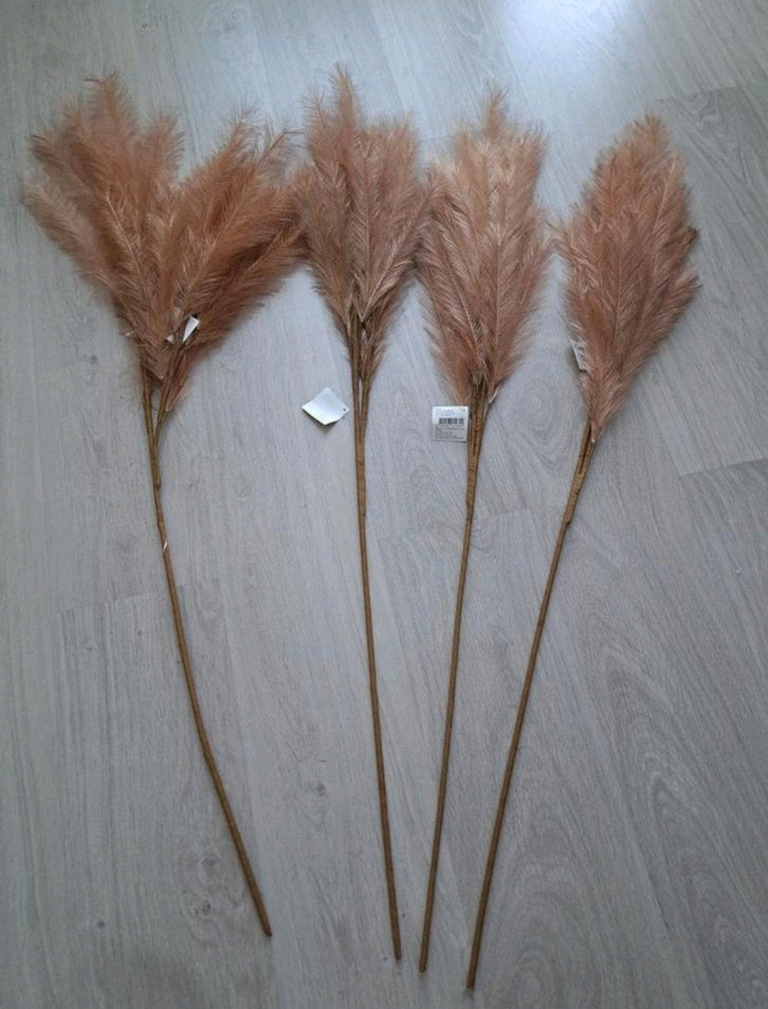 4x pluimen, Ophalen, Nieuw, Bruin