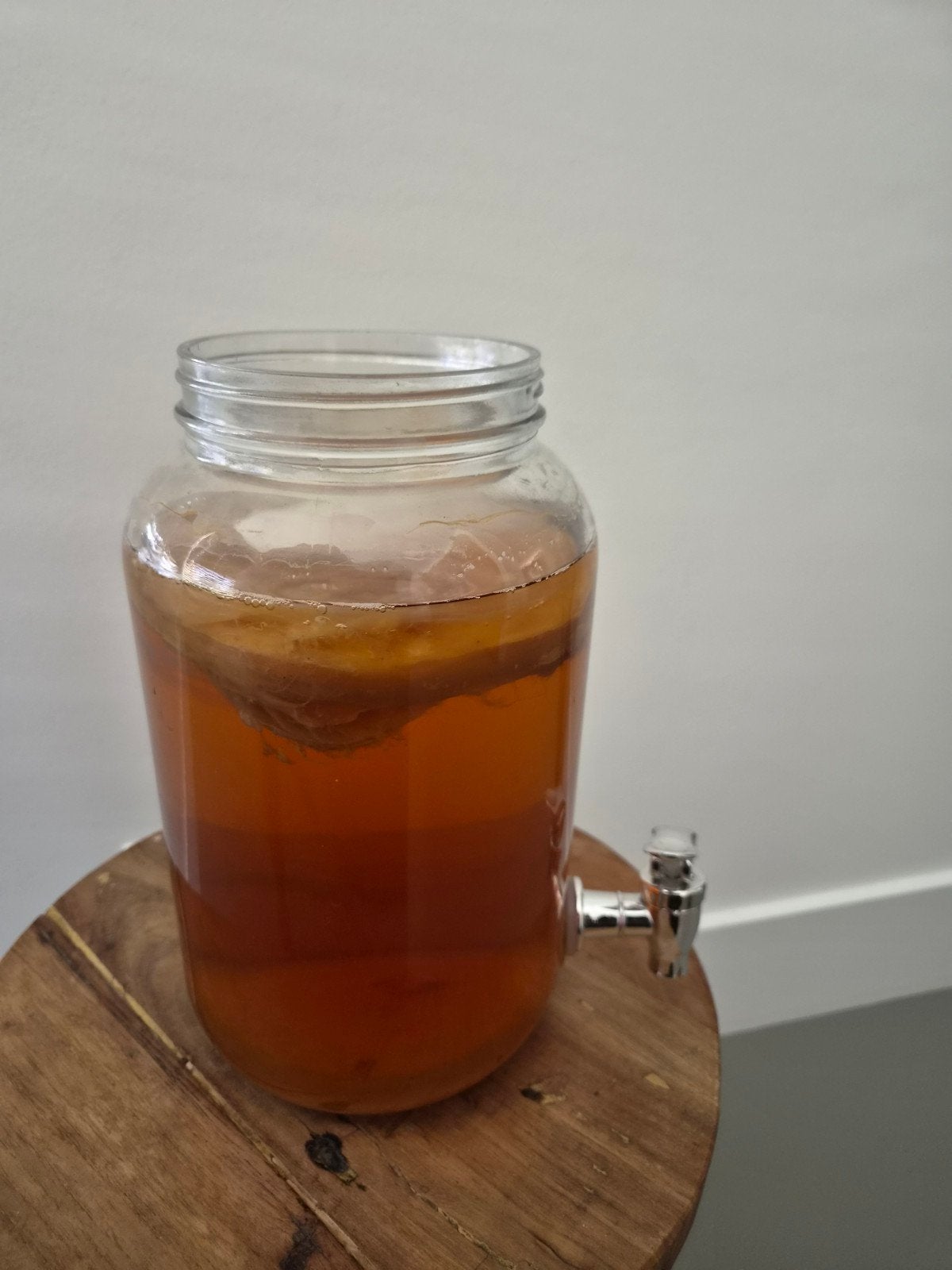 Kombucha scoby, Ophalen