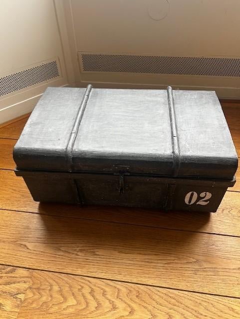 Metallic Grey chest / trunk, Ophalen, Zo goed als nieuw