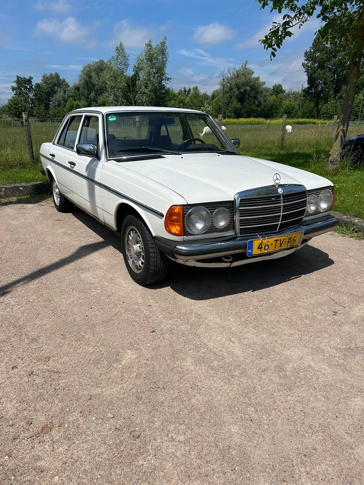 Mercedes-Benz Mercedes 200 W123 1982 Wit BENZINE LPG, Auto's, 1340 kg, Wit, Sedan, Geïmporteerd