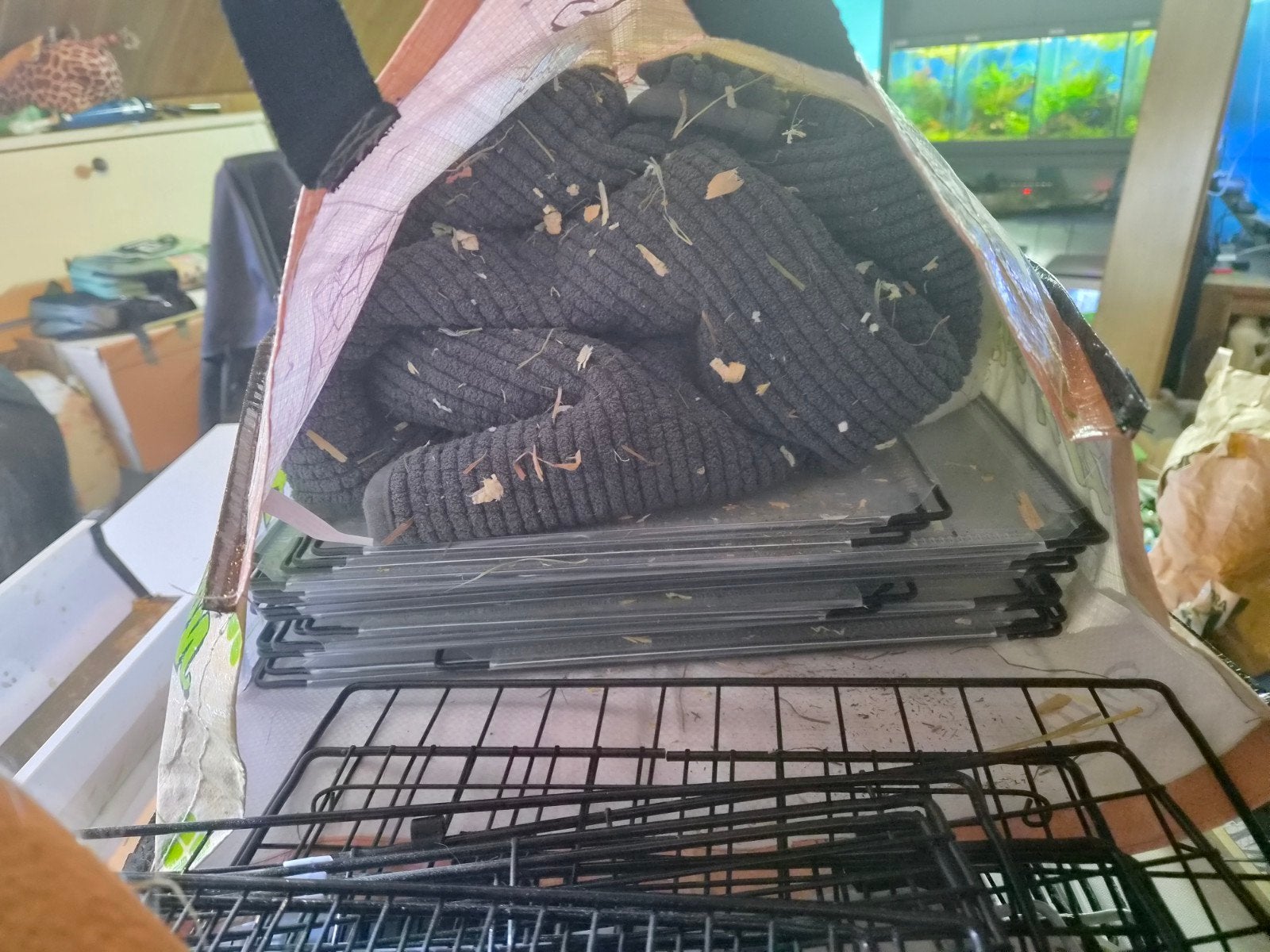 Te koop draadkubus voor cavia's, Dieren en Toebehoren, Knaagdieren en Konijnen | Hokken en Kooien, Ophalen, Overige typen, 90 cm of meer