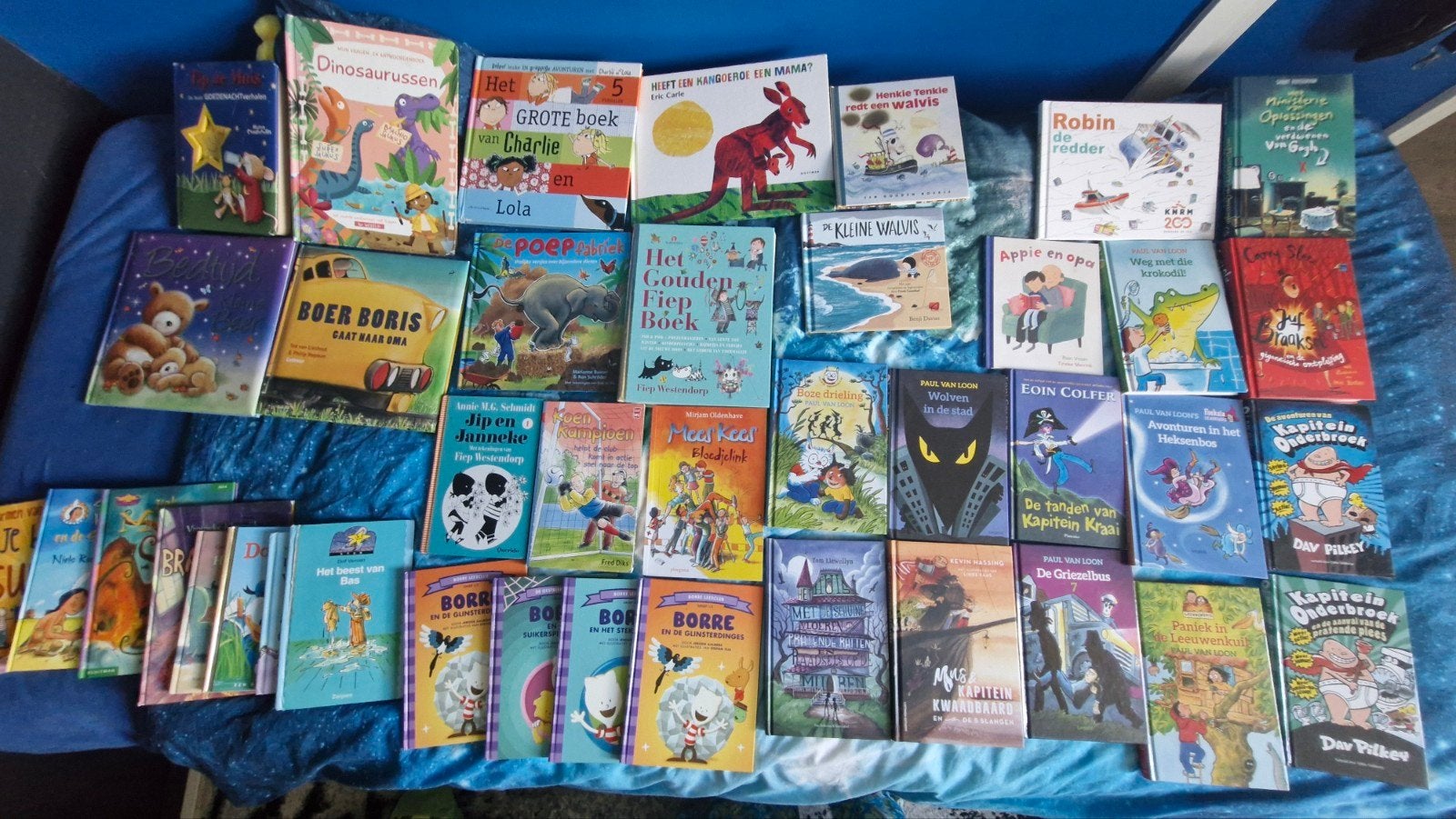 Hele verzameling, liefste in 1 koop, Ophalen, Zo goed als nieuw, Fictie algemeen