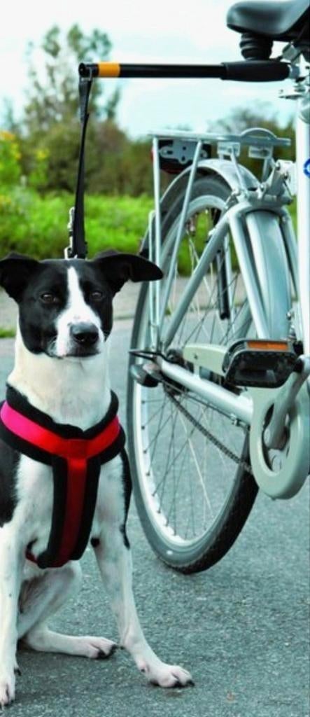 TOPSTAAT Pawise hondenlijn voor de fiets / hands free leash, Dieren en Toebehoren, Ophalen of Verzenden, Zo goed als nieuw, Hondenriem
