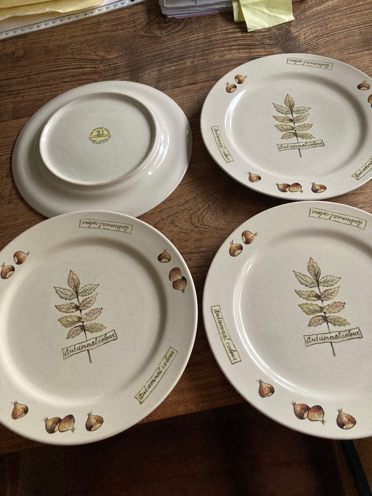 Herfstservies 4 grote plate borden, Antiek en Kunst, Ophalen of Verzenden