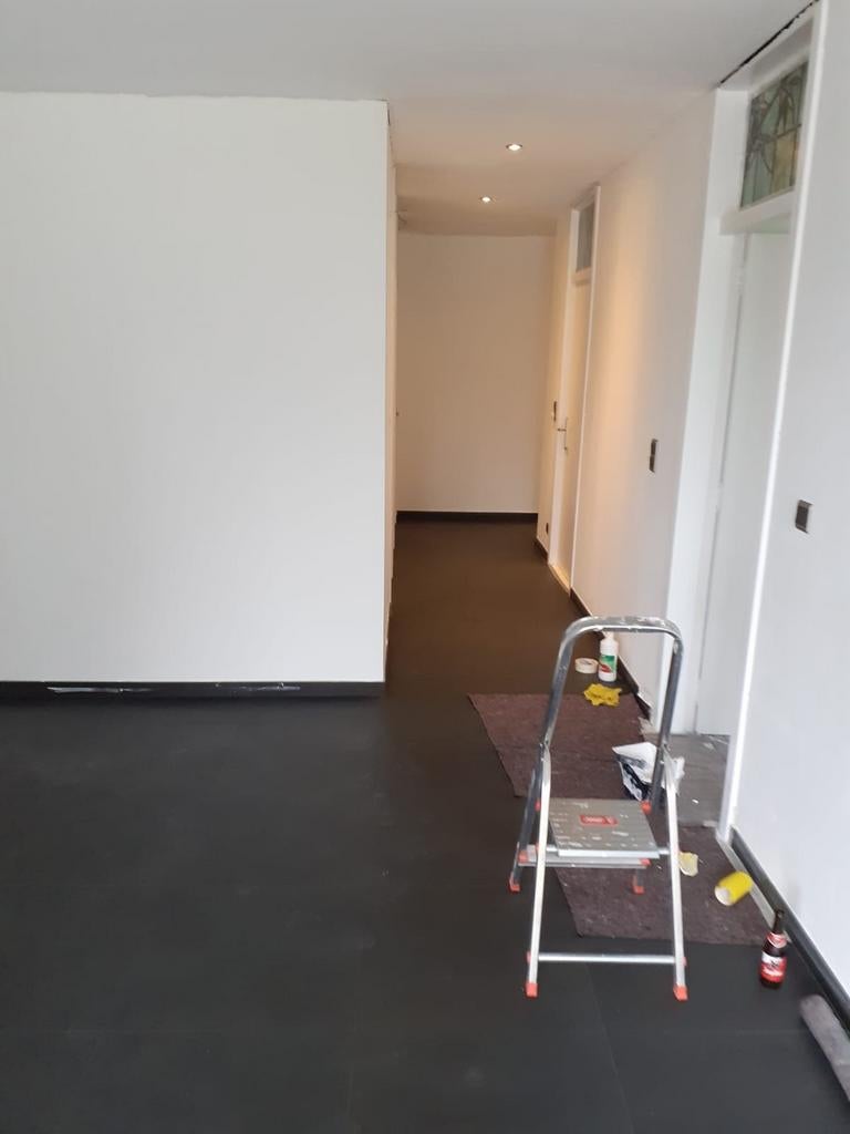 Schilder Binnen en buiten, Gebruikt, Trap, Ophalen of Verzenden, Opvouwbaar of Inschuifbaar