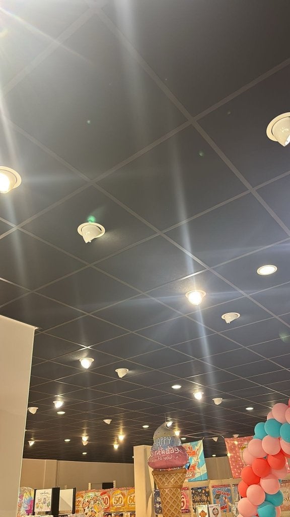 Plafondplaten, Doe-het-zelf en Verbouw, Platen en Panelen, Ophalen, Zo goed als nieuw, Overige materialen, 20 tot 50 mm