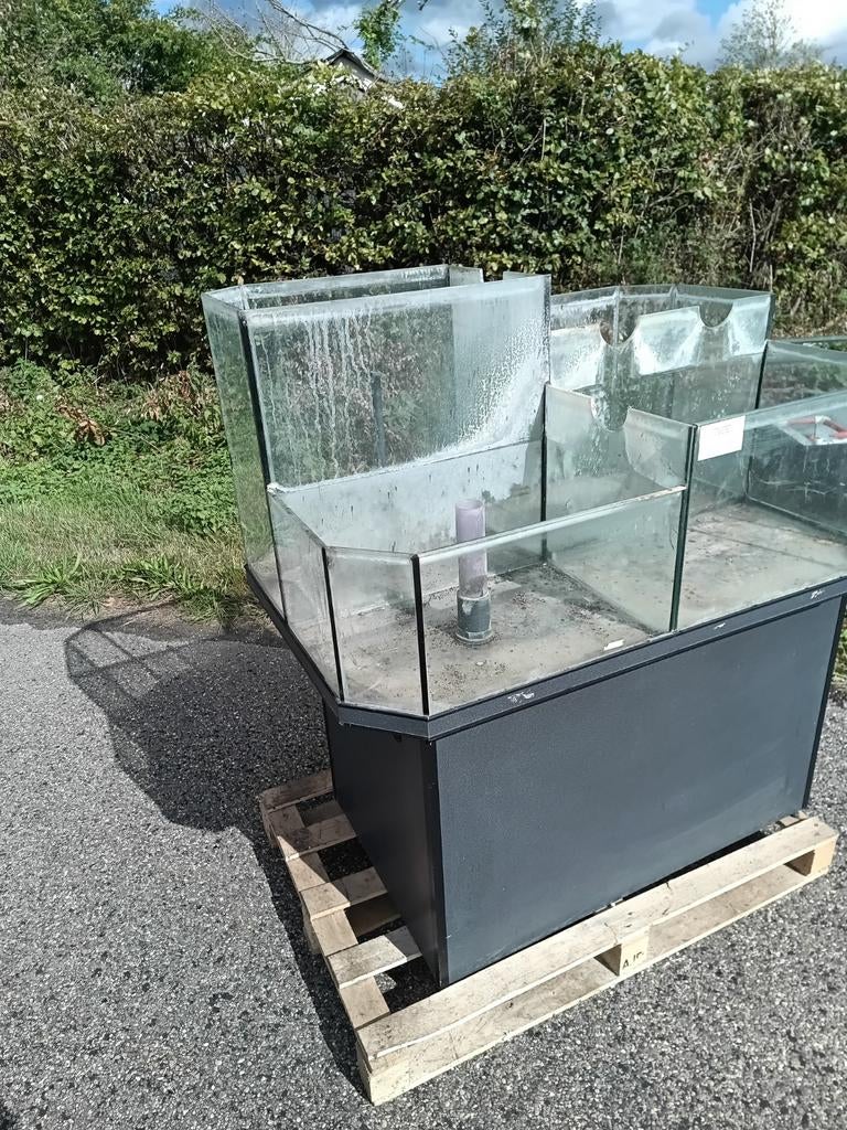 Eiland aquarium opgedeeld in 4 dmv overloop, vissen, koralen, Ophalen, Leeg aquarium