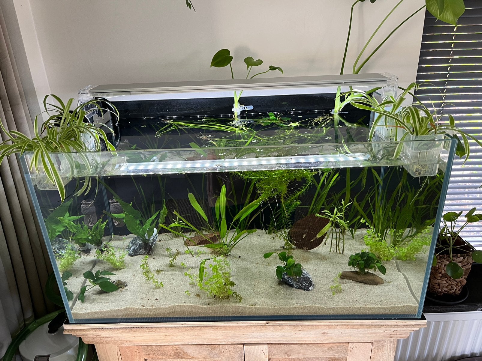 Aquarium 140 liter 4 maanden oud, Dieren en Toebehoren, Vissen | Aquaria en Toebehoren, Ophalen, Inclusief deksel, Zo goed als nieuw