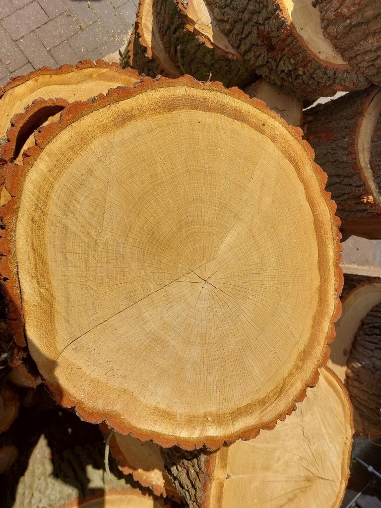Mooie eikenhouten boomschijf van 50cm doorsnede, 20cm hoog, Ophalen, Eiken, Overige typen, Nieuw