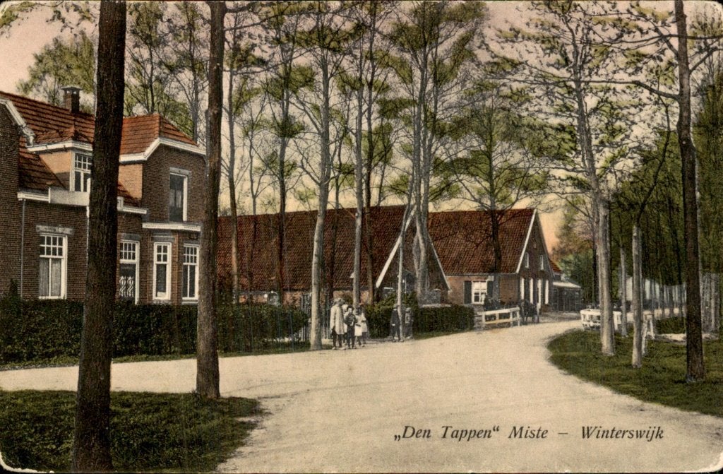Winterswijk - Den Tappen - Miste, Ophalen of Verzenden, Voor 1920, Ongelopen, Gelderland
