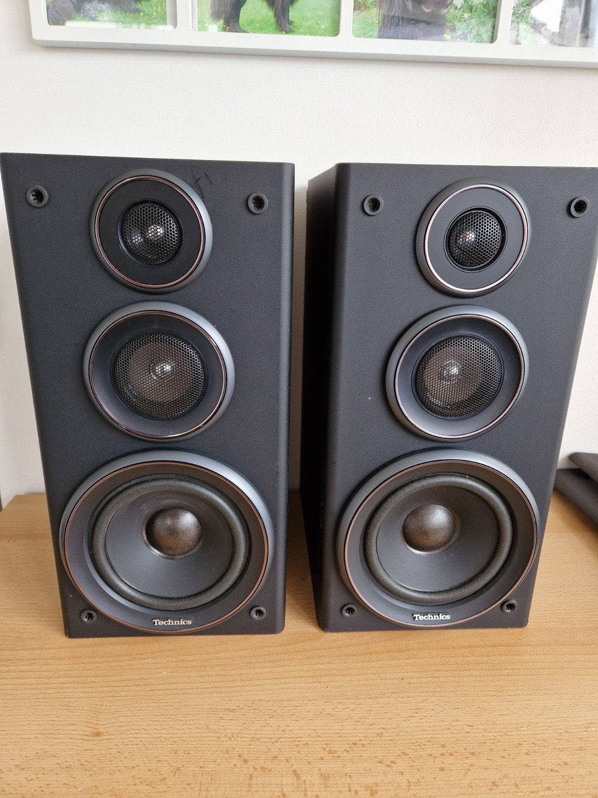 Technics SB-CH9 3-weg luidsprekersysteem, 60 tot 120 watt, Boekenplank luidspreker, Ophalen, Overige merken